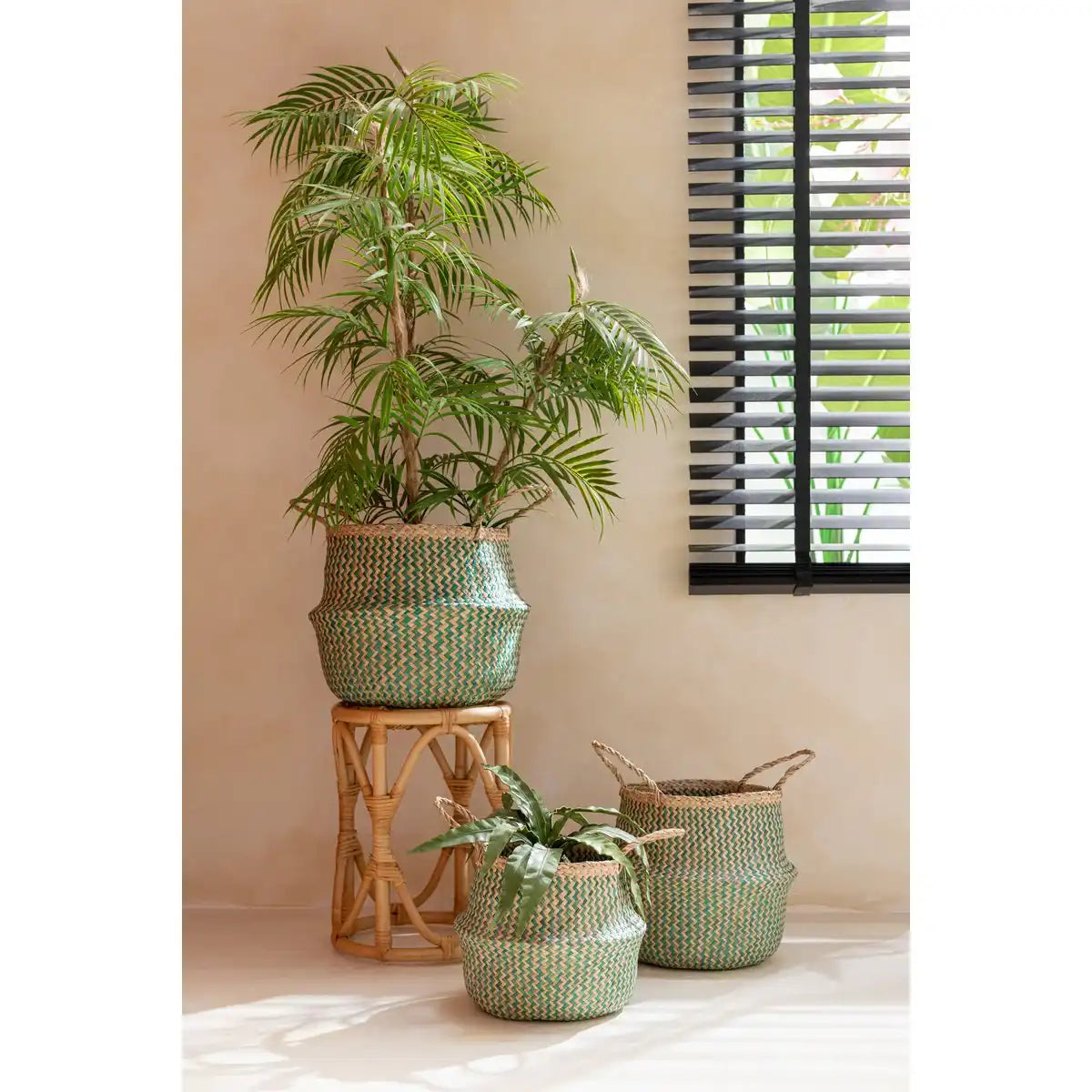 J-Line Bergpalm in Topf Plastik Grün grün/schwarz groß