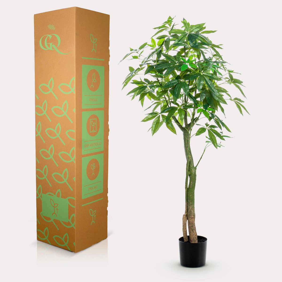 Künstliche Pflanze - Pachira aquatica - Geldboom - 150 cm