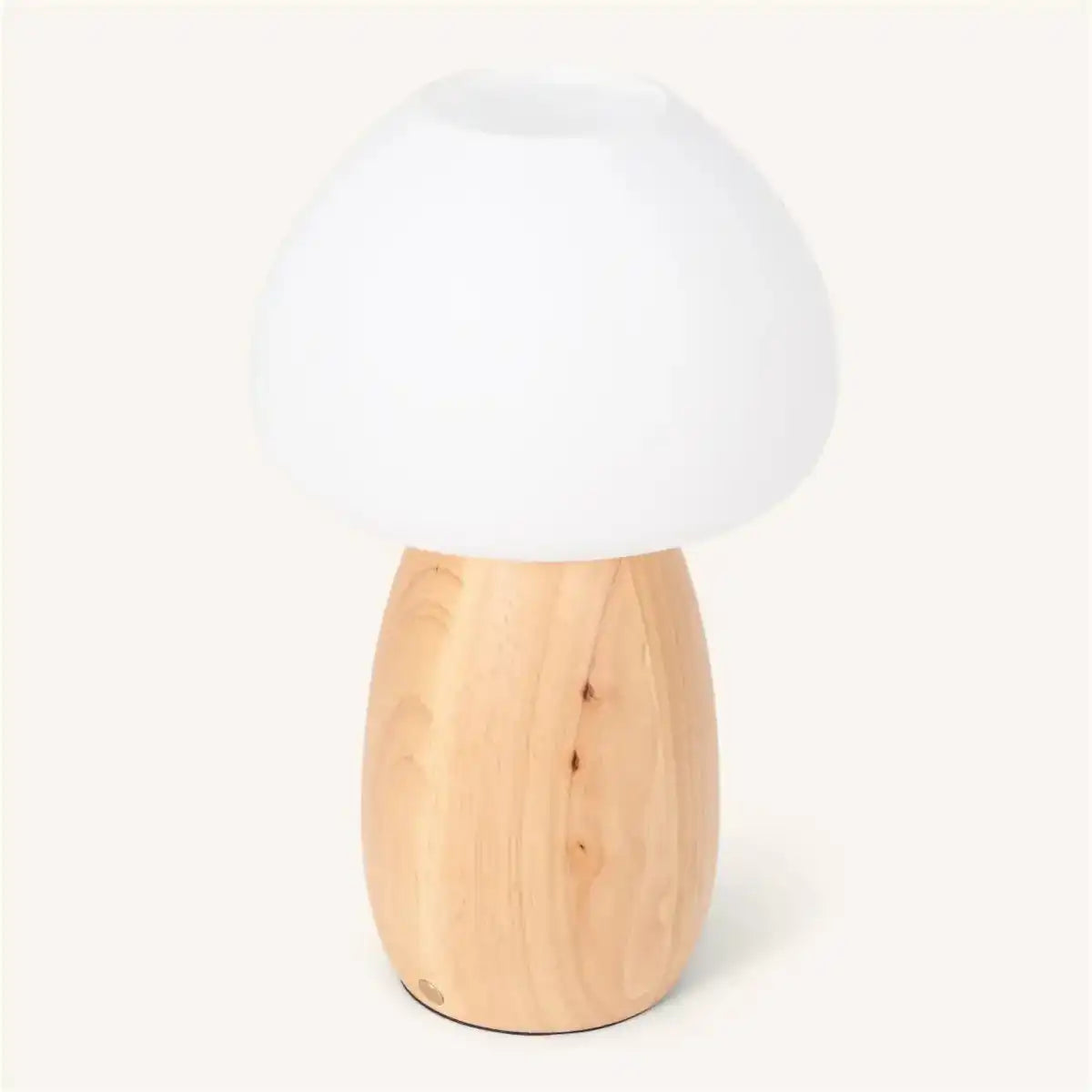 Bärenhellbraun stilvolle wiederaufladbare Lampe-schnurlos, dimmbar, umweltfreundliches Design
