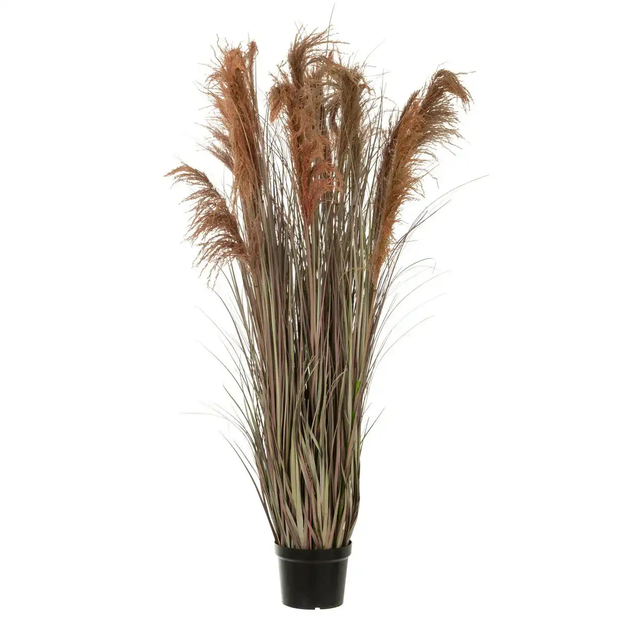 J-Line Pampas Gras 13 Köpfe in PVC grün/orange groß