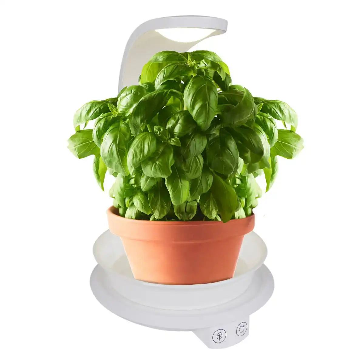 LED Pflanzen-Tischleuchte 24 cm hoch, aus Metall und Kunststoff in Weiß, mit integrierter LED