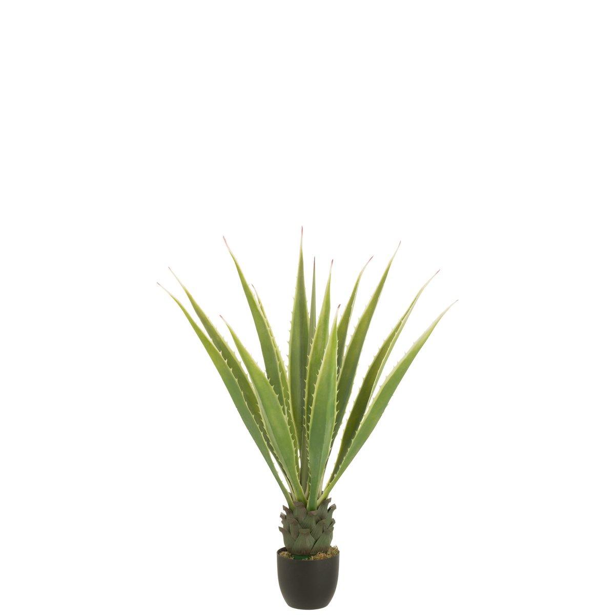 J-Line Agave Off White Künstliches Grün
