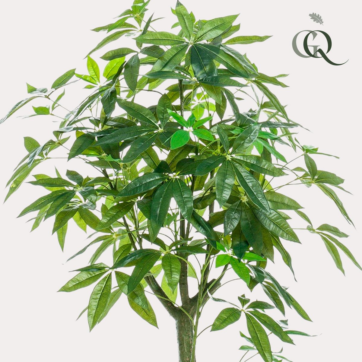 Künstliche Pflanze - Pachira aquatica - Geldboom - 150 cm