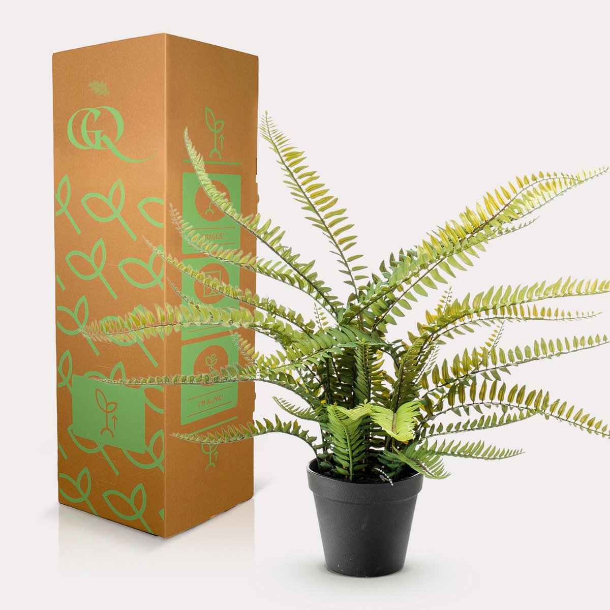 Kunstpflanze - Nephrolepis exaltata - Bostonvaren - 55 cm