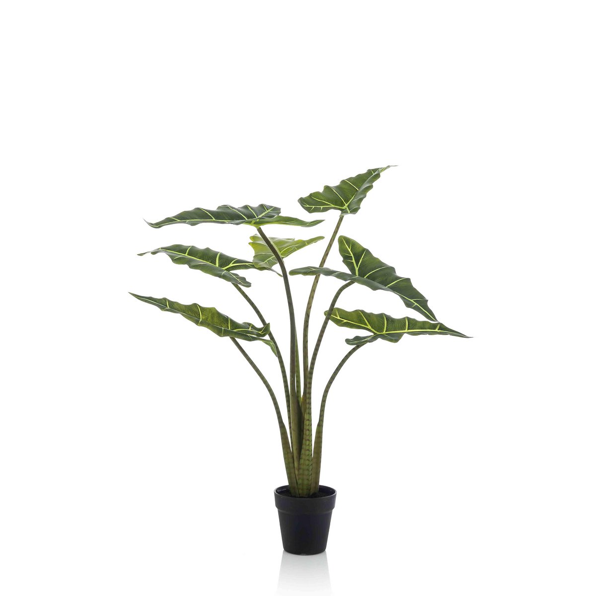 Künstliche Pflanze - Alocasia Frydek - Elefantenohr - 100 cm