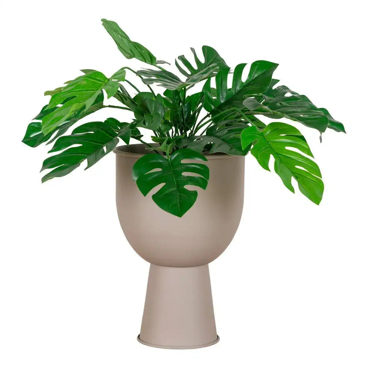 Amalfi-Blumentopf - HomeDesign Knaus