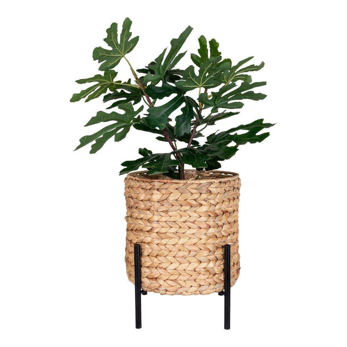 Antas Pflanzer - HomeDesign Knaus