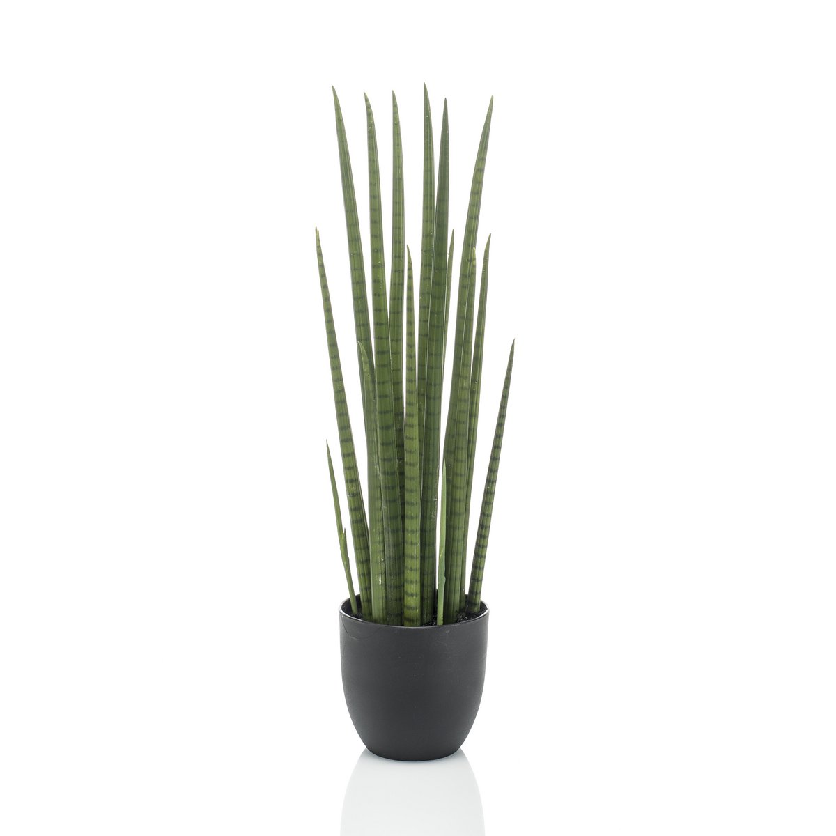 Kunstpflanze - Sanseveria Cylindrica - Frau Zunge - 70 cm
