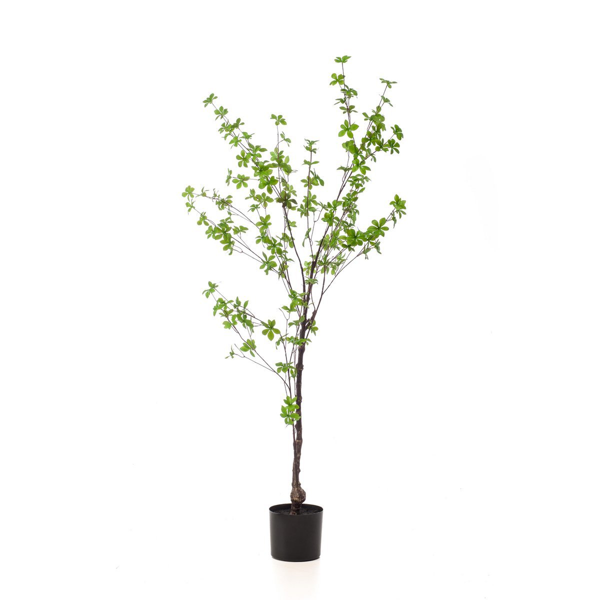 Kunstpflanze - Tropseolum attraktiv - Oost Indistent - 150 cm
