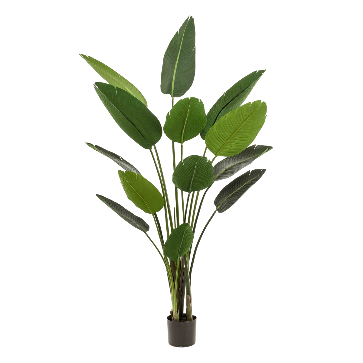 Künstliche Pflanze - Strelitzia Nicolai - Paradiesvogelblume - 190 cm