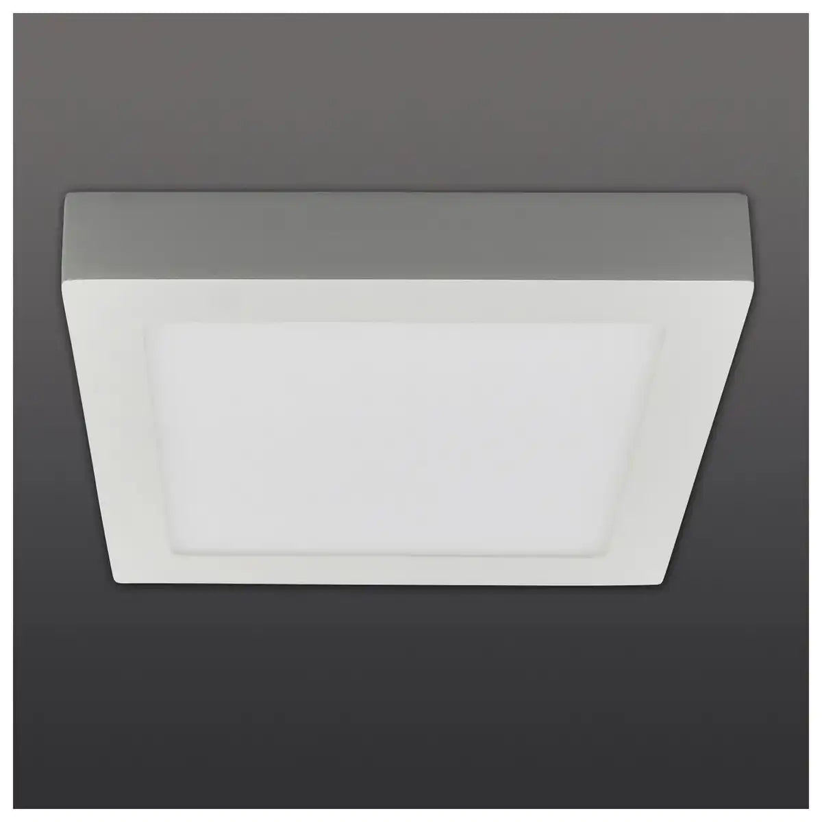 LED Deckenleuchte "SIMPLEX" s: 22,5cm