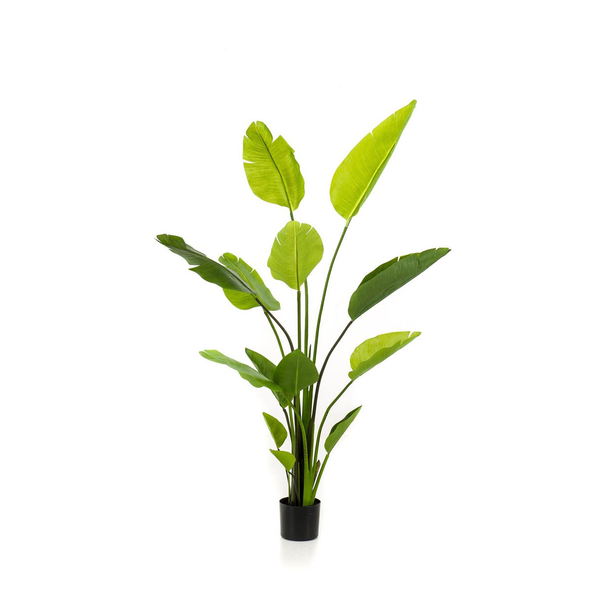 Kunstpflanze - Strelitzia Nicolai - Paradise Vogelblume - 150 cm
