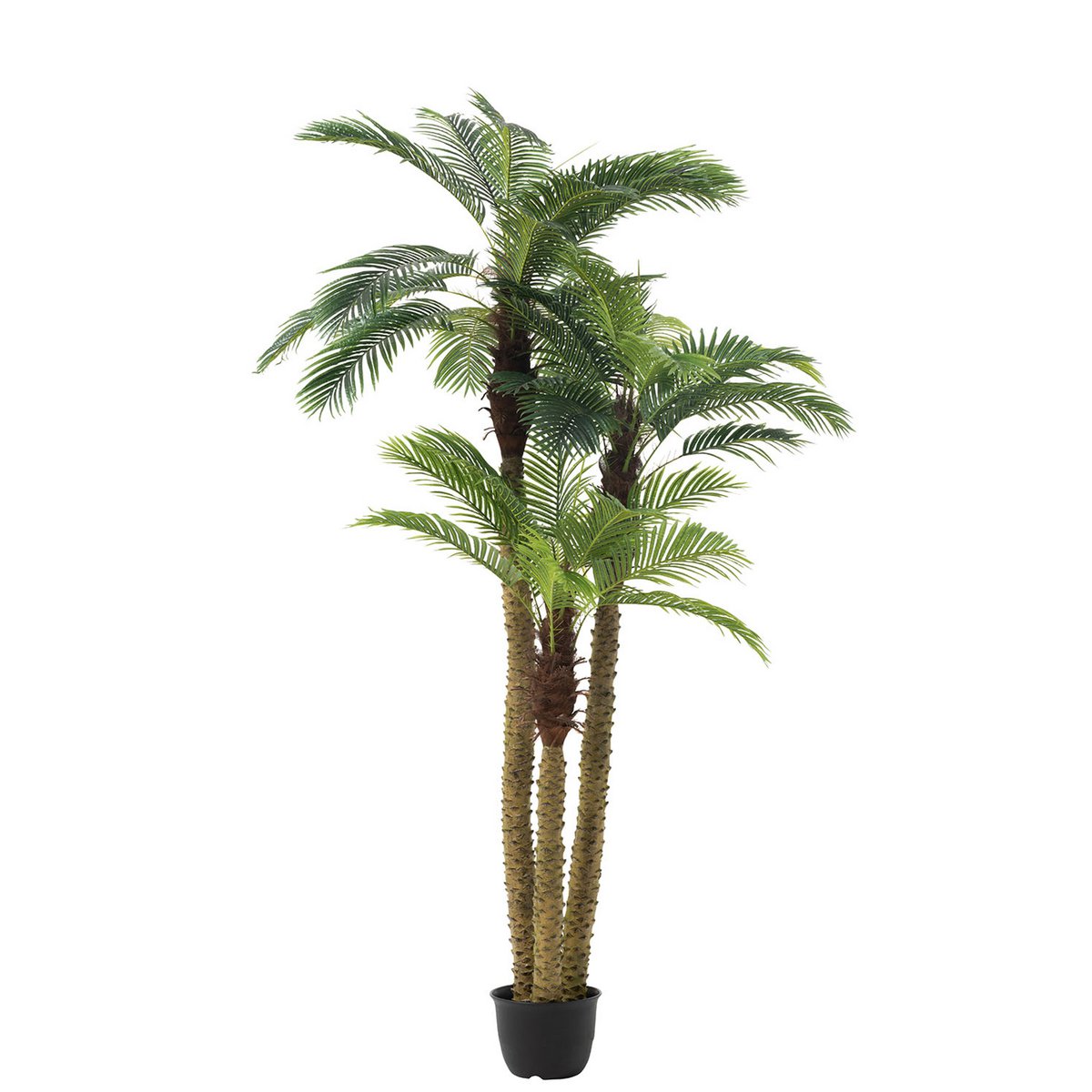J-Line Palm Tree 3 Teile Real Touch im Topf Kunststoff grün