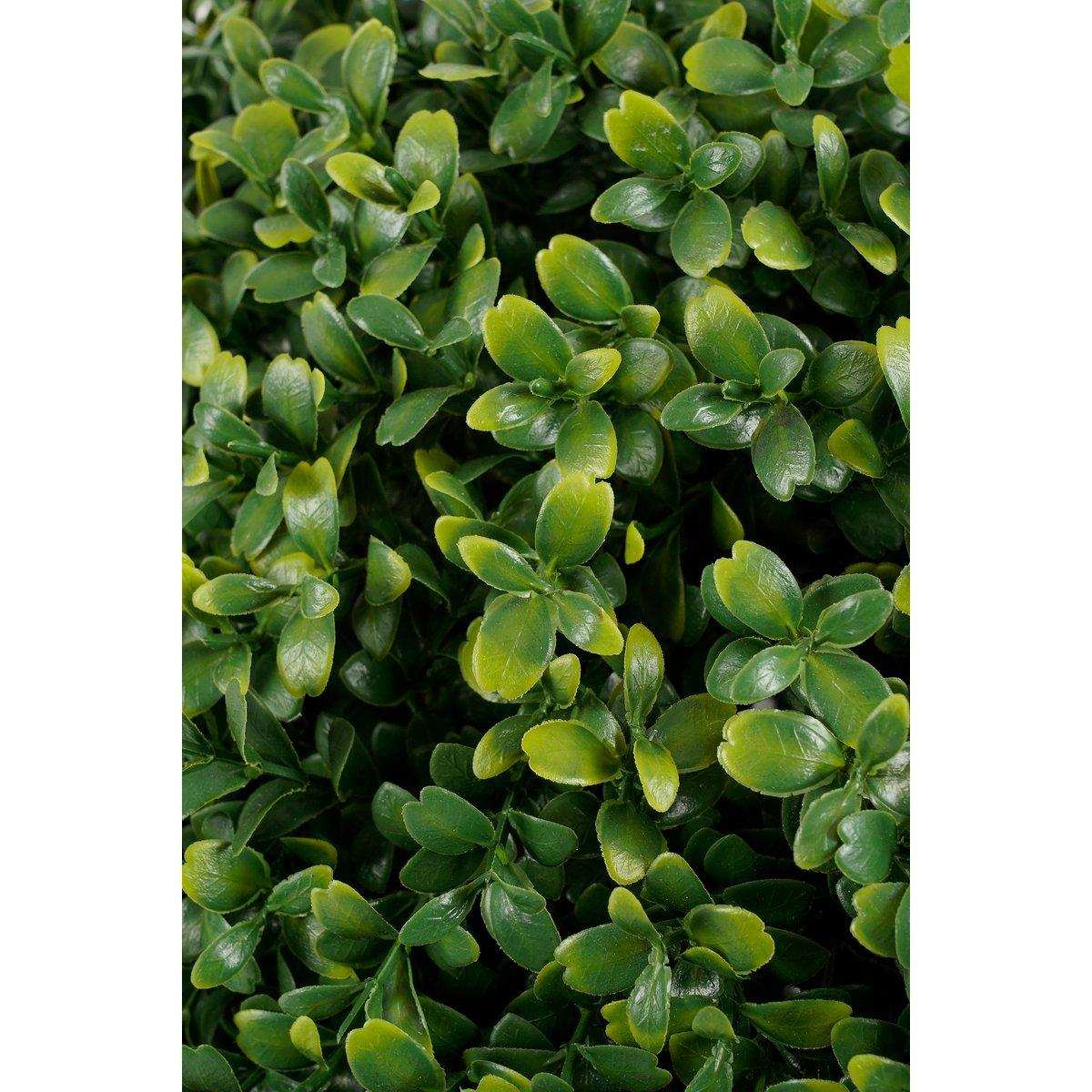 Buxus künstliche Pflanze im Topf - H50 x Ø40 cm - Grün - HomeDesign Knaus