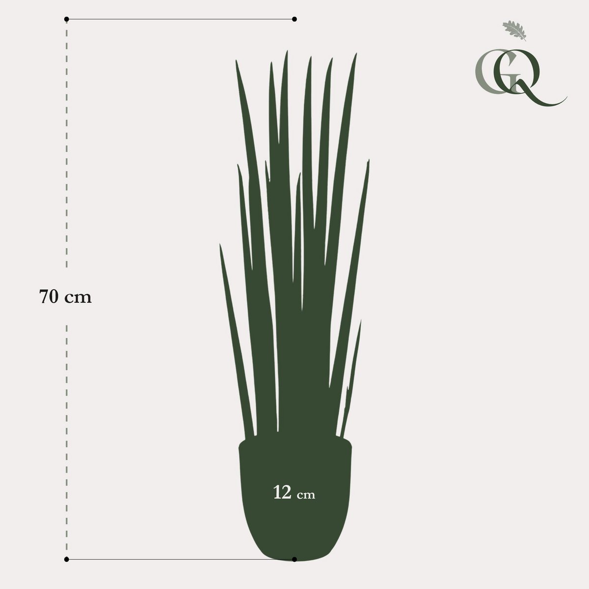 Kunstpflanze - Sanseveria Cylindrica - Frau Zunge - 70 cm