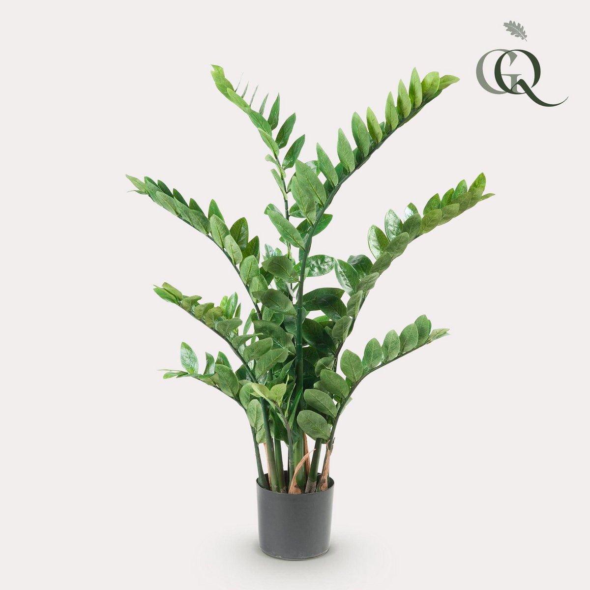 Künstliche Pflanze - Zamioculcas - Stadtpalme - 110 cm