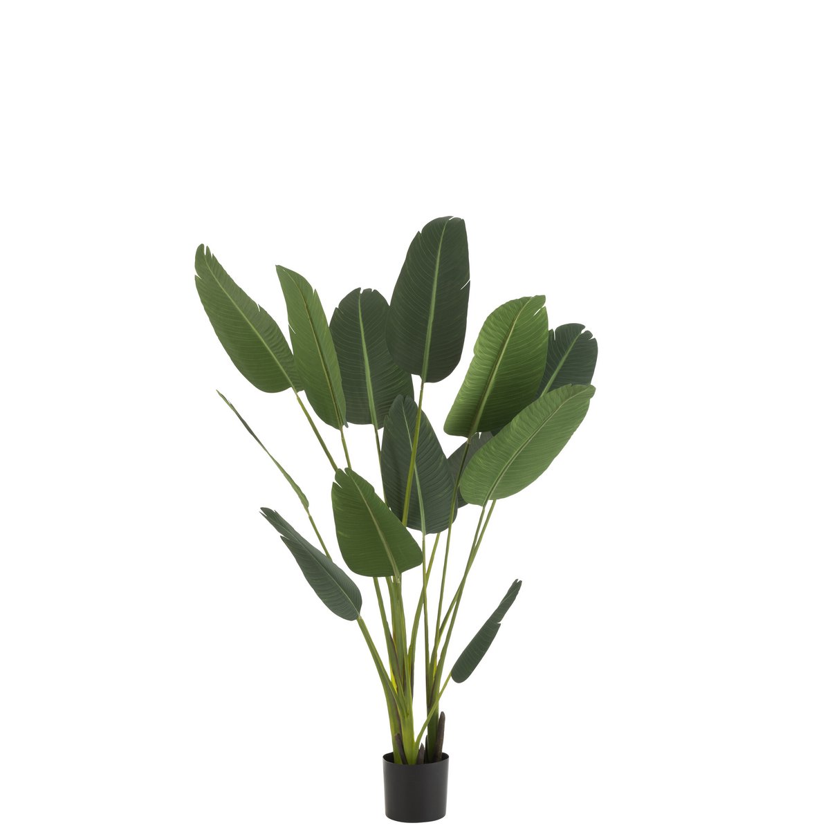 J-Line Strelitzia Plastic Green Medium