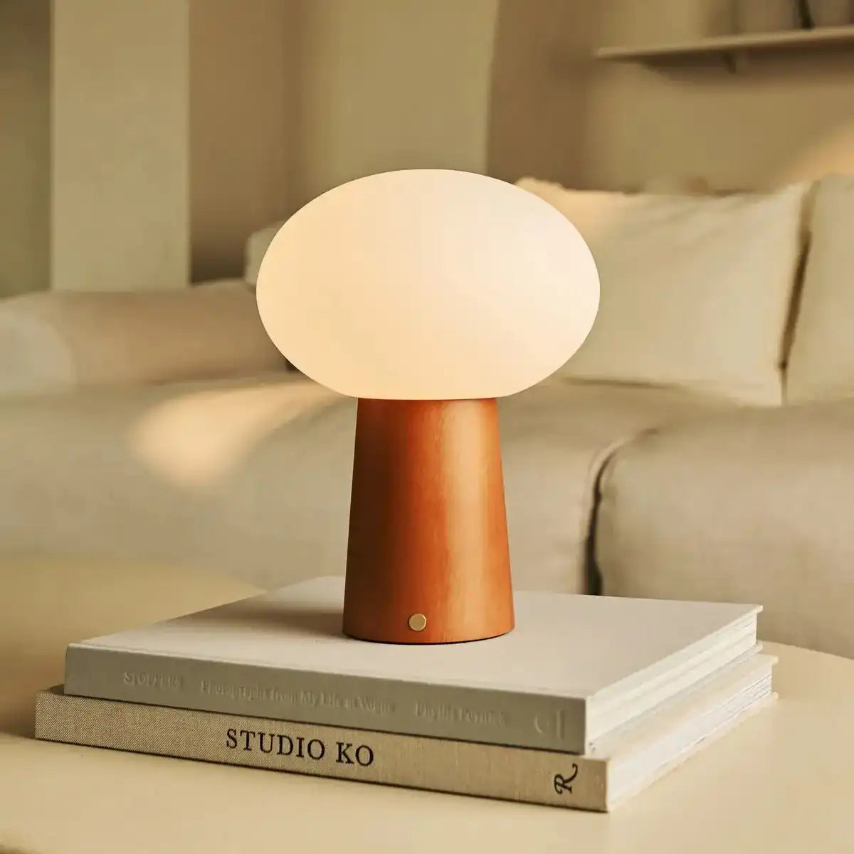 Max kastanienhalte Holzschnur und wiederaufladbare Lampe-umweltfreundliches Design