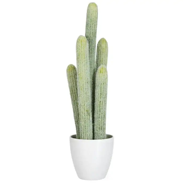 Cactus Set mit weißen Blumentop 5 Stück Hellgrün 52 cm - HomeDesign Knaus