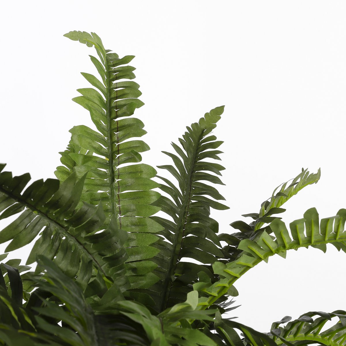 Künstliche Farnpflanze im Blumentopf Stan - H40 x Ø70 cm - Grün