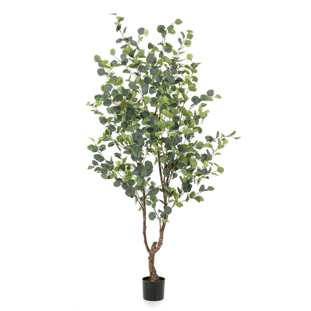Künstliche Pflanze - Eukalyptus - Blue Gum Tree - 180 cm