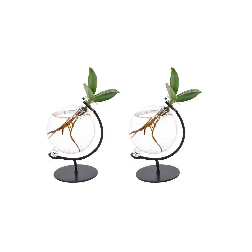 Clusia aus Victoria-Glas – 2 Stück – Ø5 cm – ↕10 cm - HomeDesign Knaus