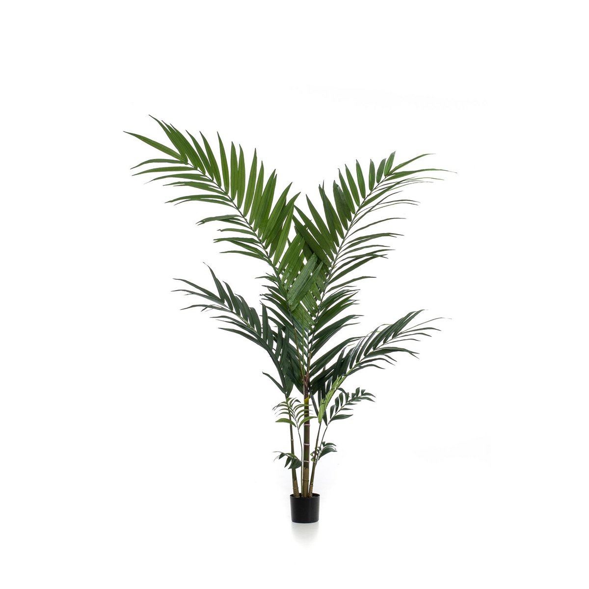 Kunstpflanze - Kentia -Kentiapalm - 150 cm