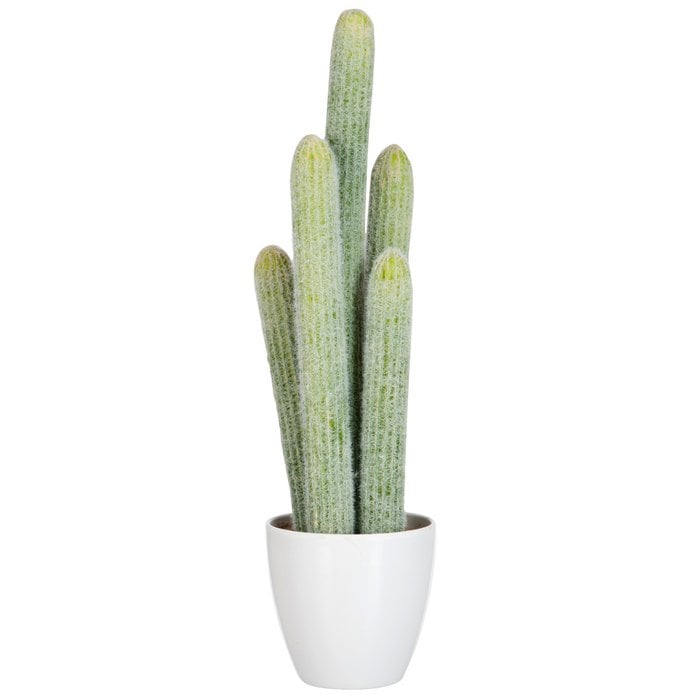 Cactus Set mit weißen Blumentop 5 Stück Hellgrün 52 cm