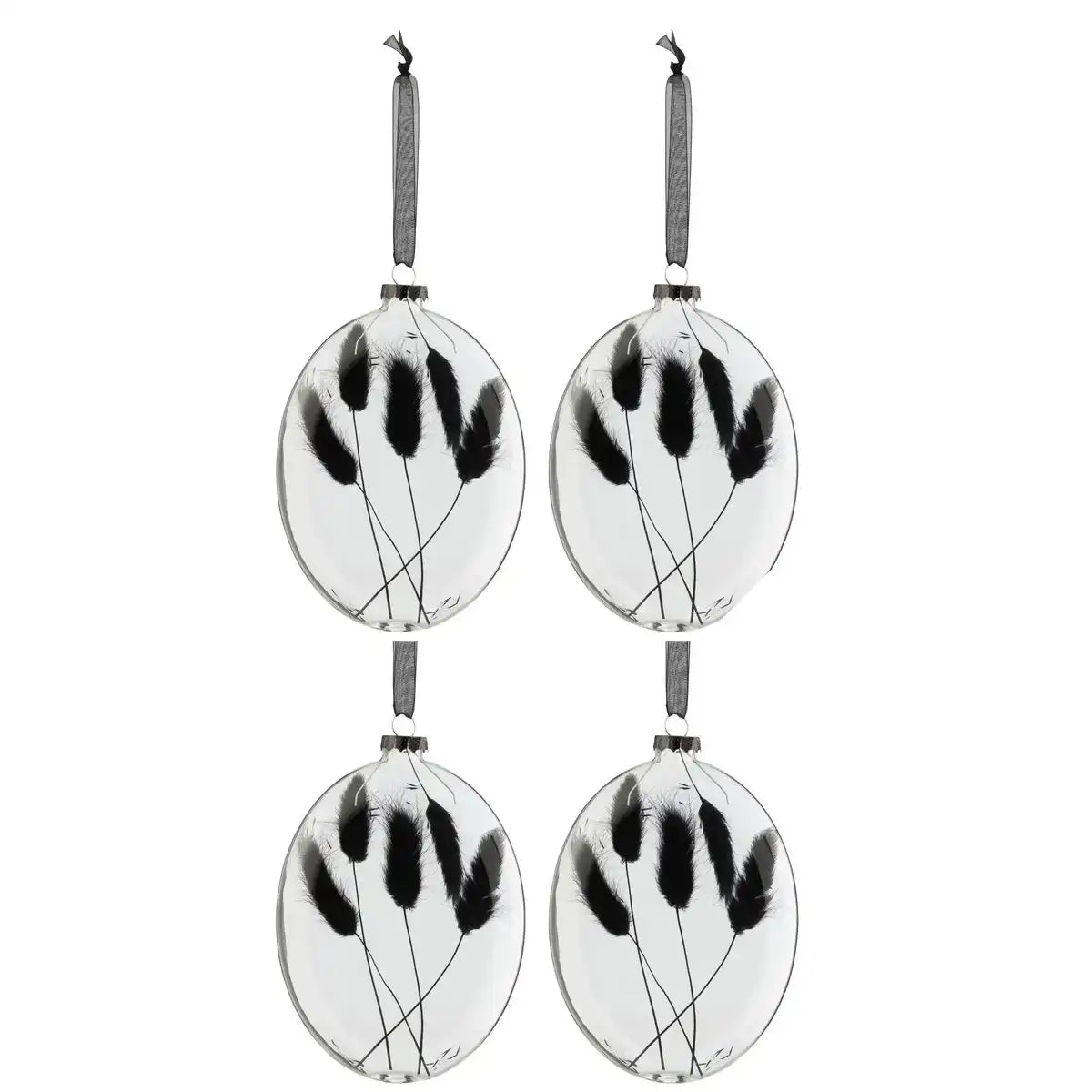 J-Line Box mit 4 Weihnachtskugeln, oval, flach, getrockneter Hasenschwanz, schwarzes Glas, transparent, groß