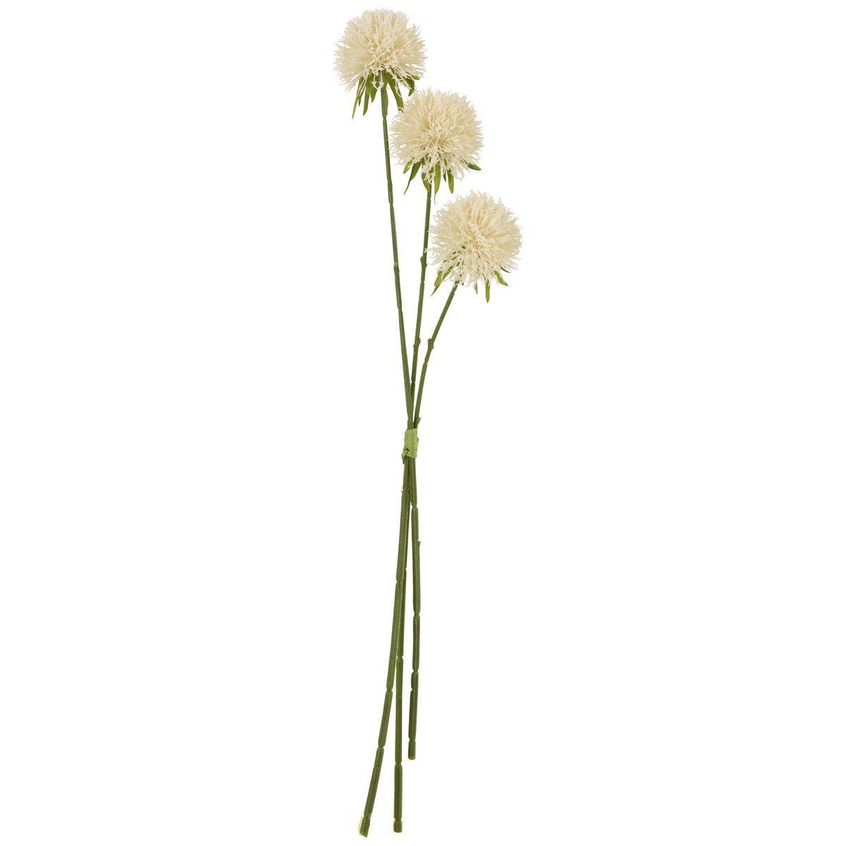 J-Line Bloem Allium 3 Stuks Kunststoff Weiß L