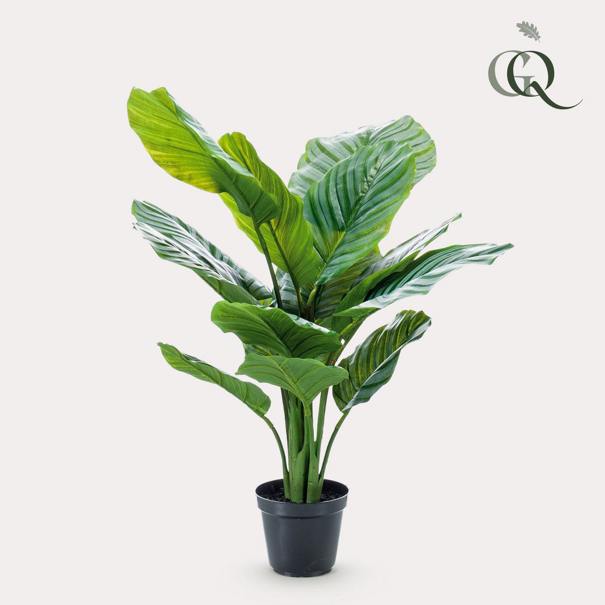 Kunstpflanze - Calathea Orbifolia - Schattenpflanze - 60 cm