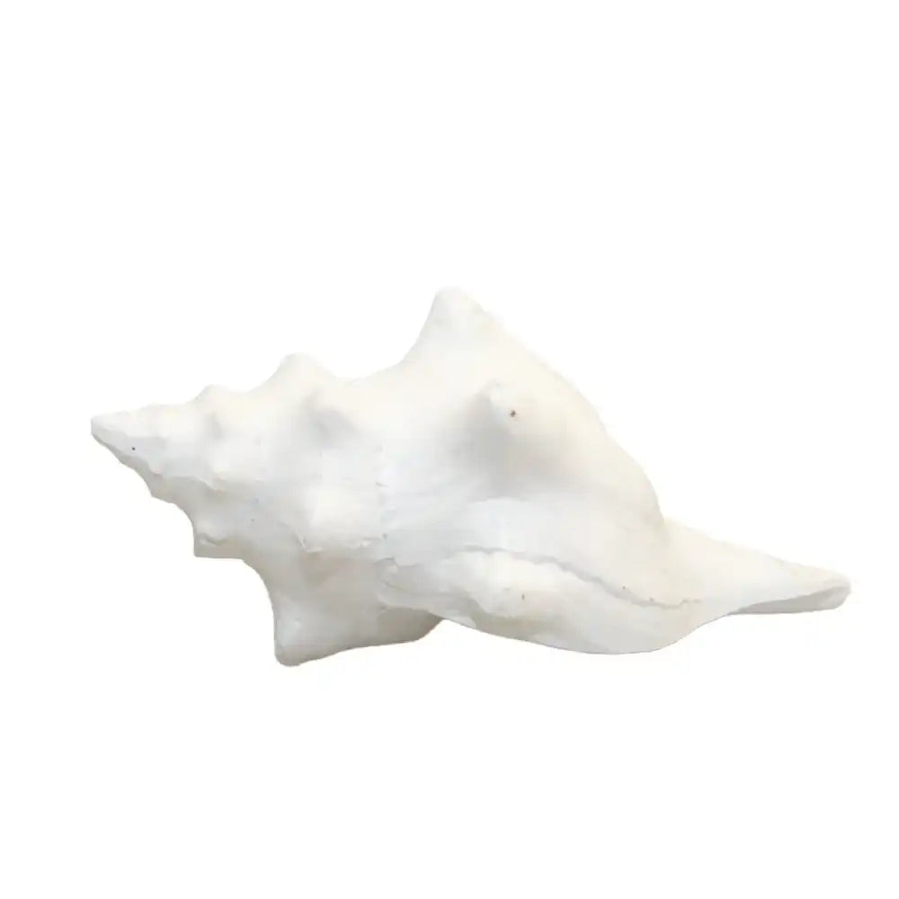 Dekorative weiße Schale 12,5x7x5cm - HomeDesign Knaus