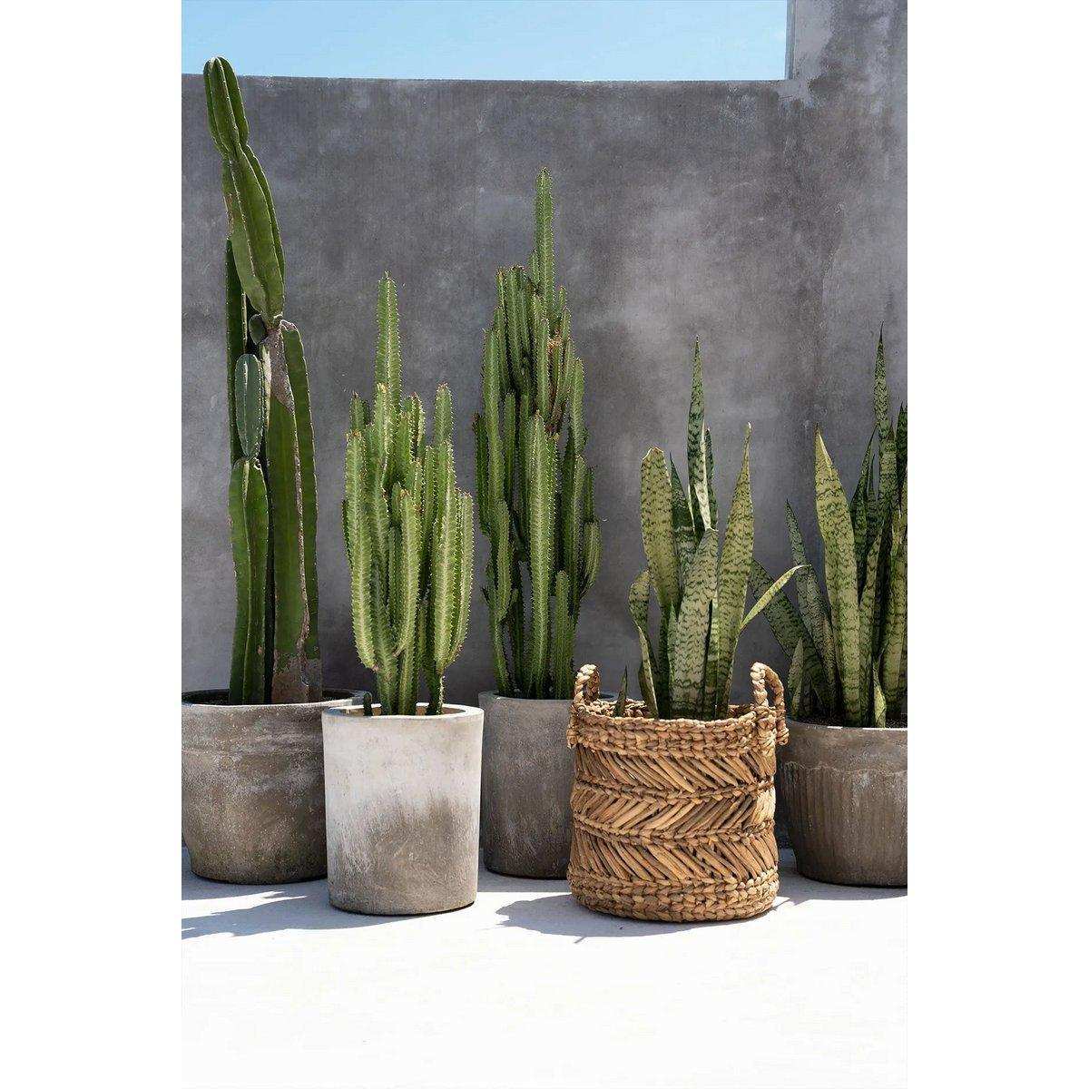 Der Bananen-Zickzack-Korb Aufbewahrungskorb 40 cm - HomeDesign Knaus