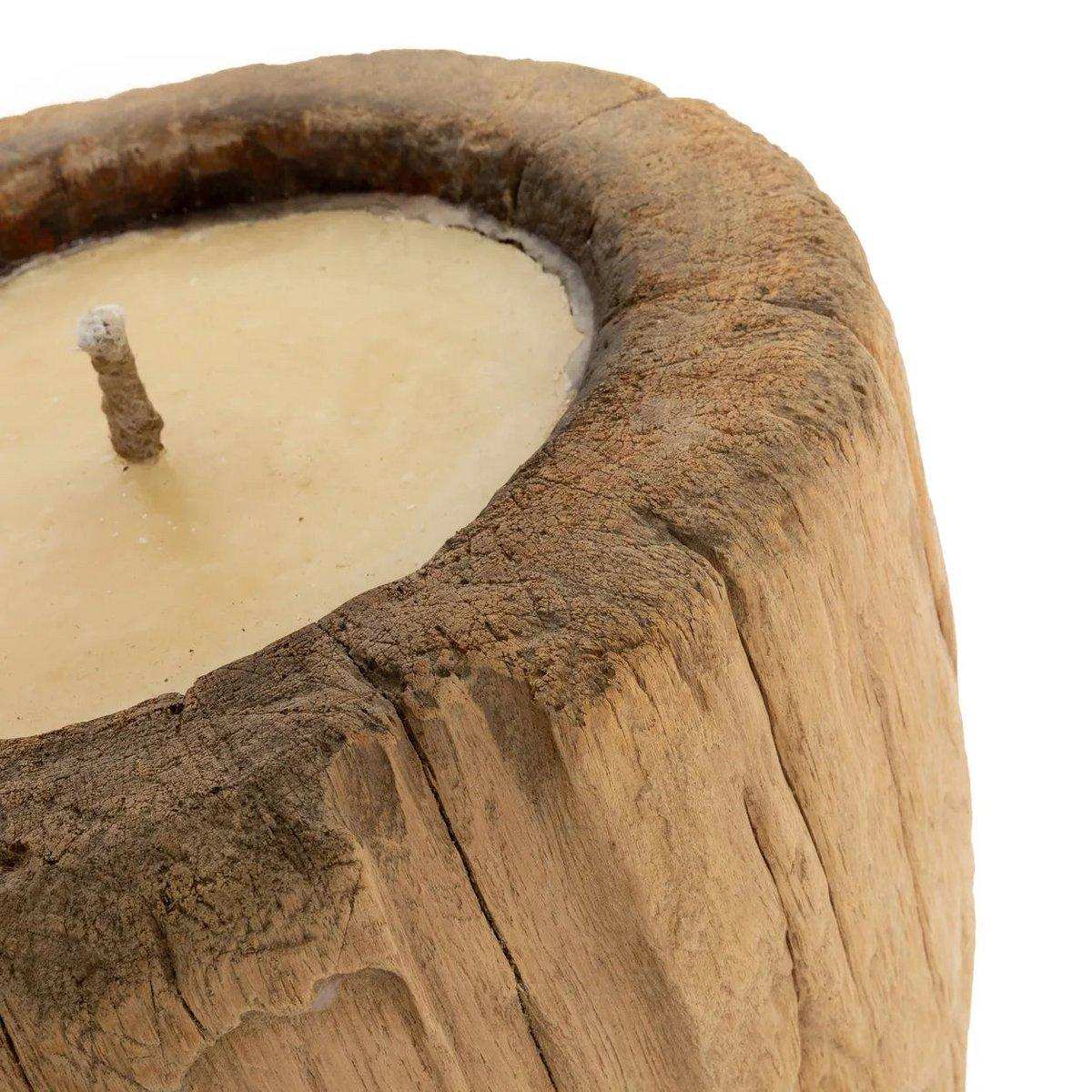 Der Kerzenstamm – Natur - HomeDesign Knaus