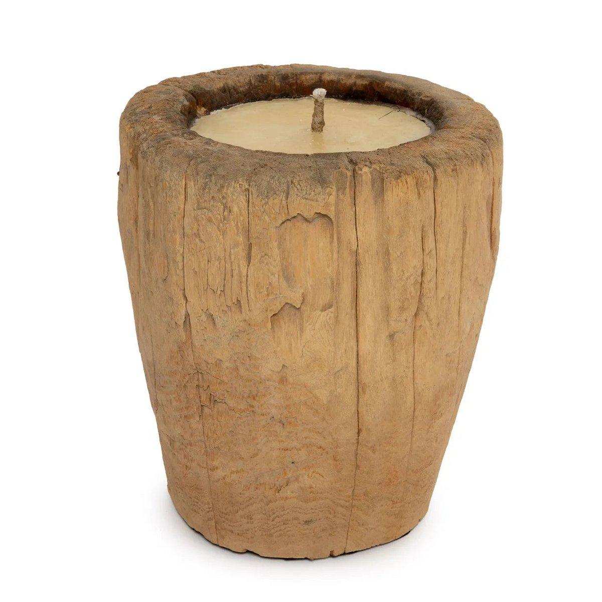 Der Kerzenstamm – Natur - HomeDesign Knaus