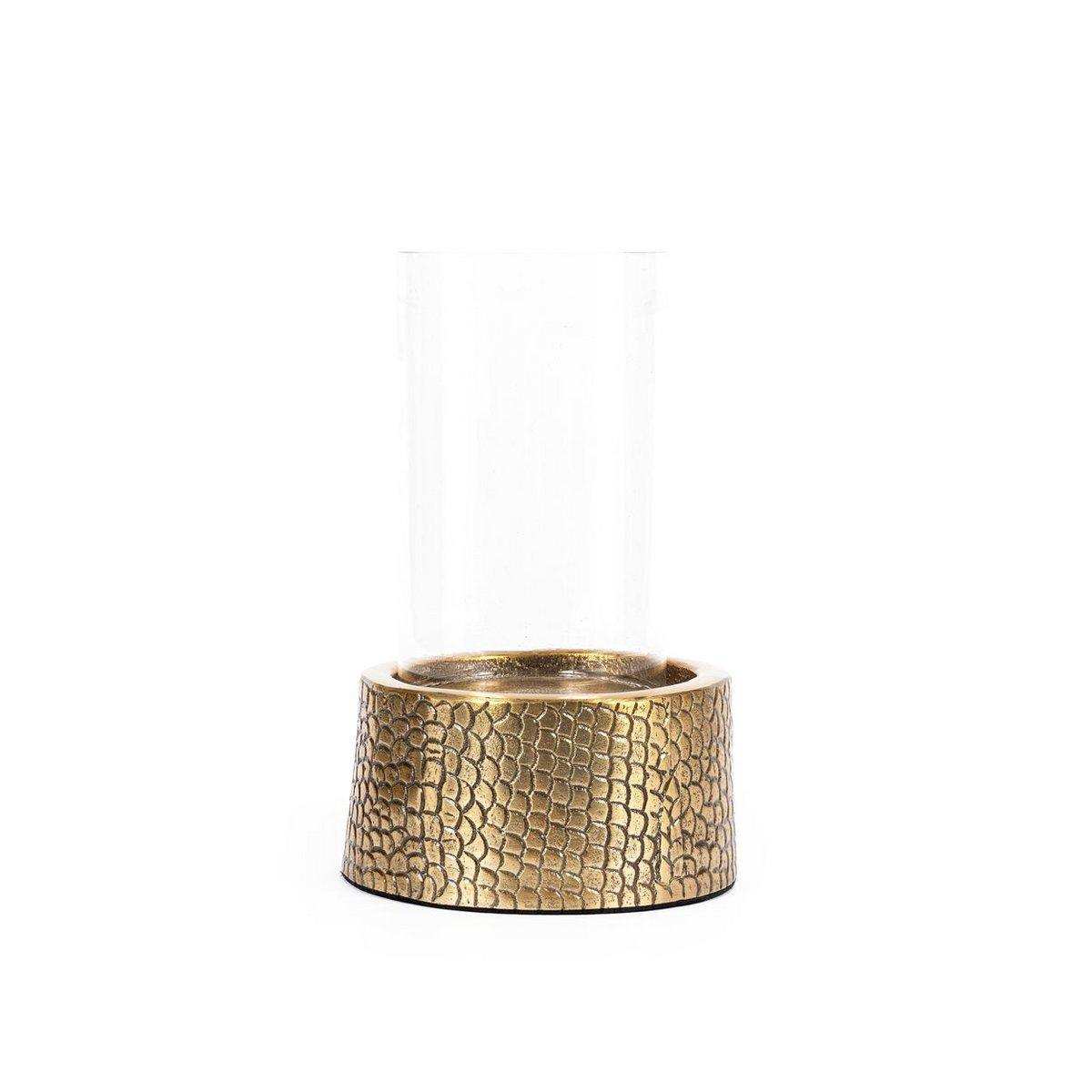 Der Kroko-Kerzenhalter mit Glas – Messing – M - HomeDesign Knaus