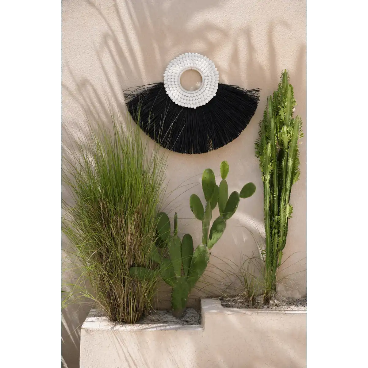 Die Muschel Alang Alang - Schwarz - HomeDesign Knaus
