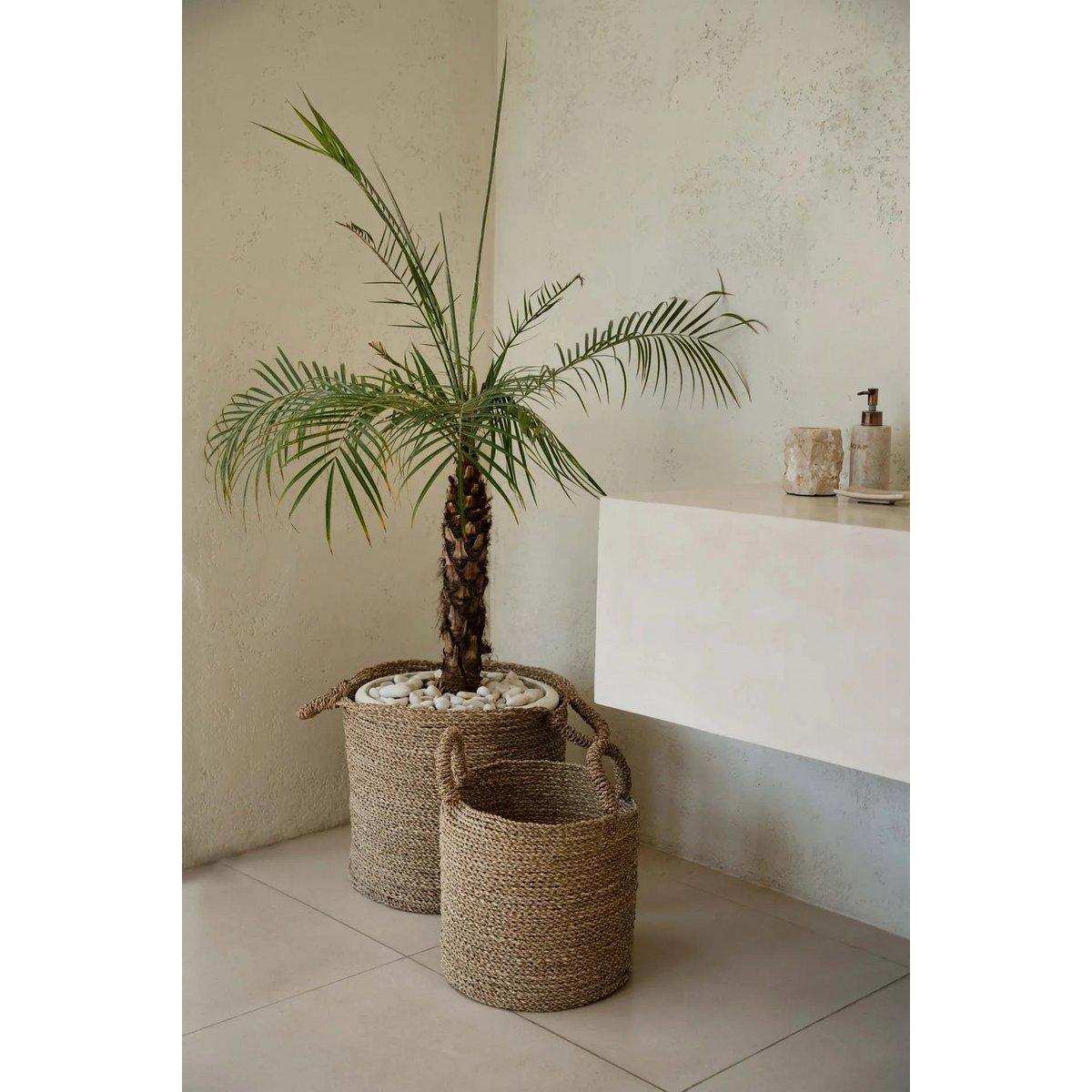 Die Sensity-Körbe – Natur – XL - HomeDesign Knaus