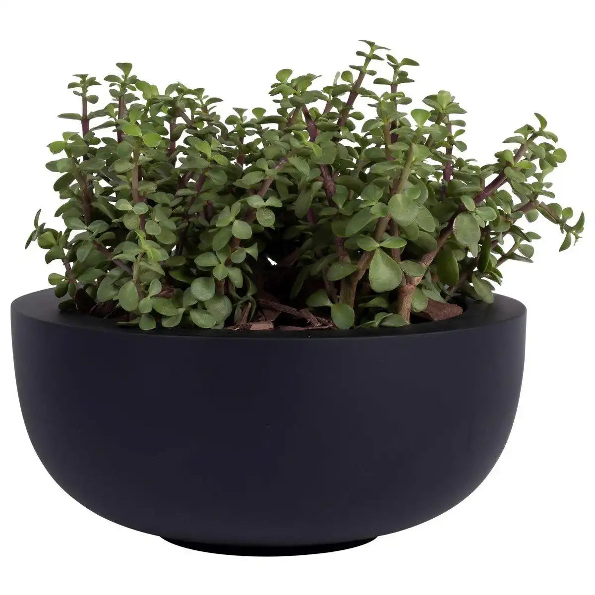 Ducos S schwarz Ø33 x H15 cm - 2 Stück - HomeDesign Knaus