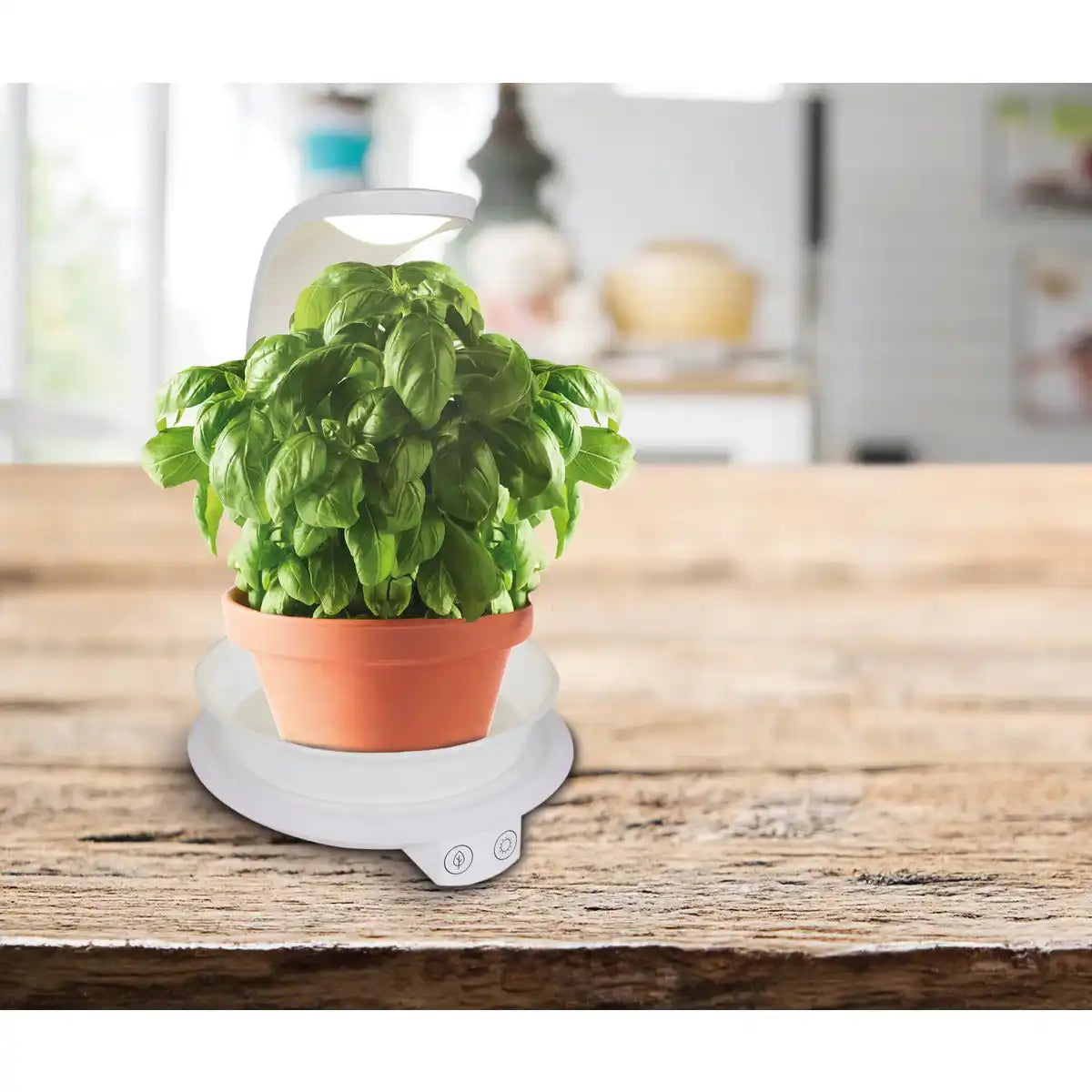 LED Pflanzen-Tischleuchte 24 cm hoch, aus Metall und Kunststoff in Weiß, mit integrierter LED