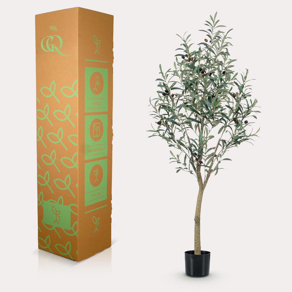 Art Olivenbaum - Olea Europaea - Olivenbaum - 140 cm