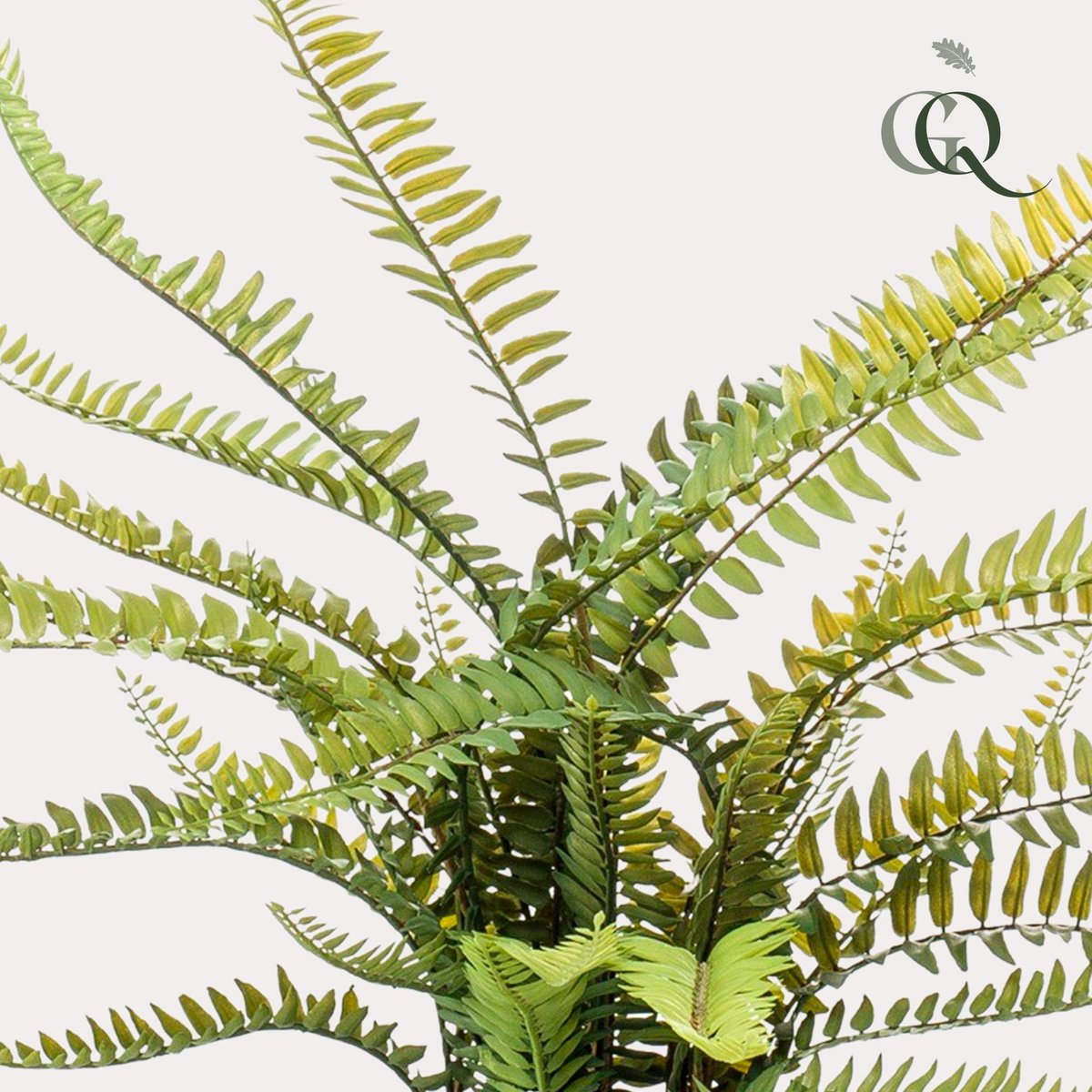 Kunstpflanze - Nephrolepis exaltata - Bostonvaren - 55 cm