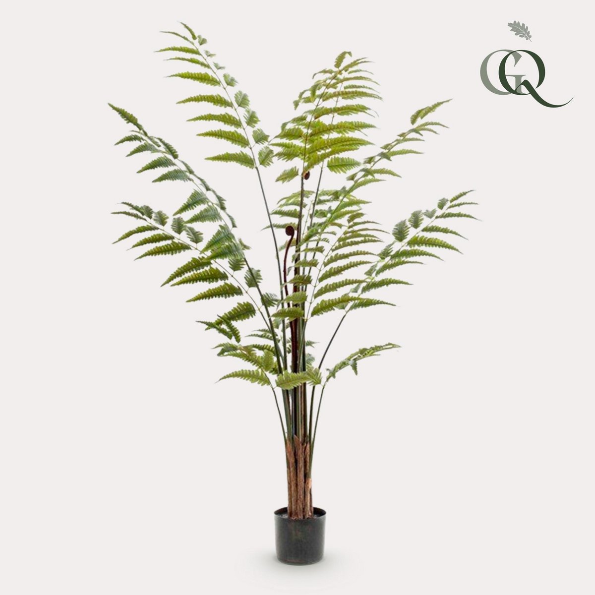 Kunstpflanze - Rumohra adiantiformis - Die Anführerin ändert sich - 150 cm