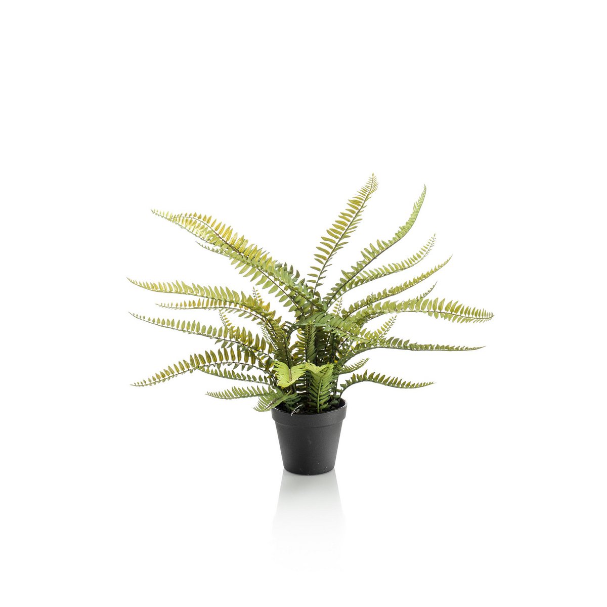 Kunstpflanze - Nephrolepis exaltata - Bostonvaren - 55 cm