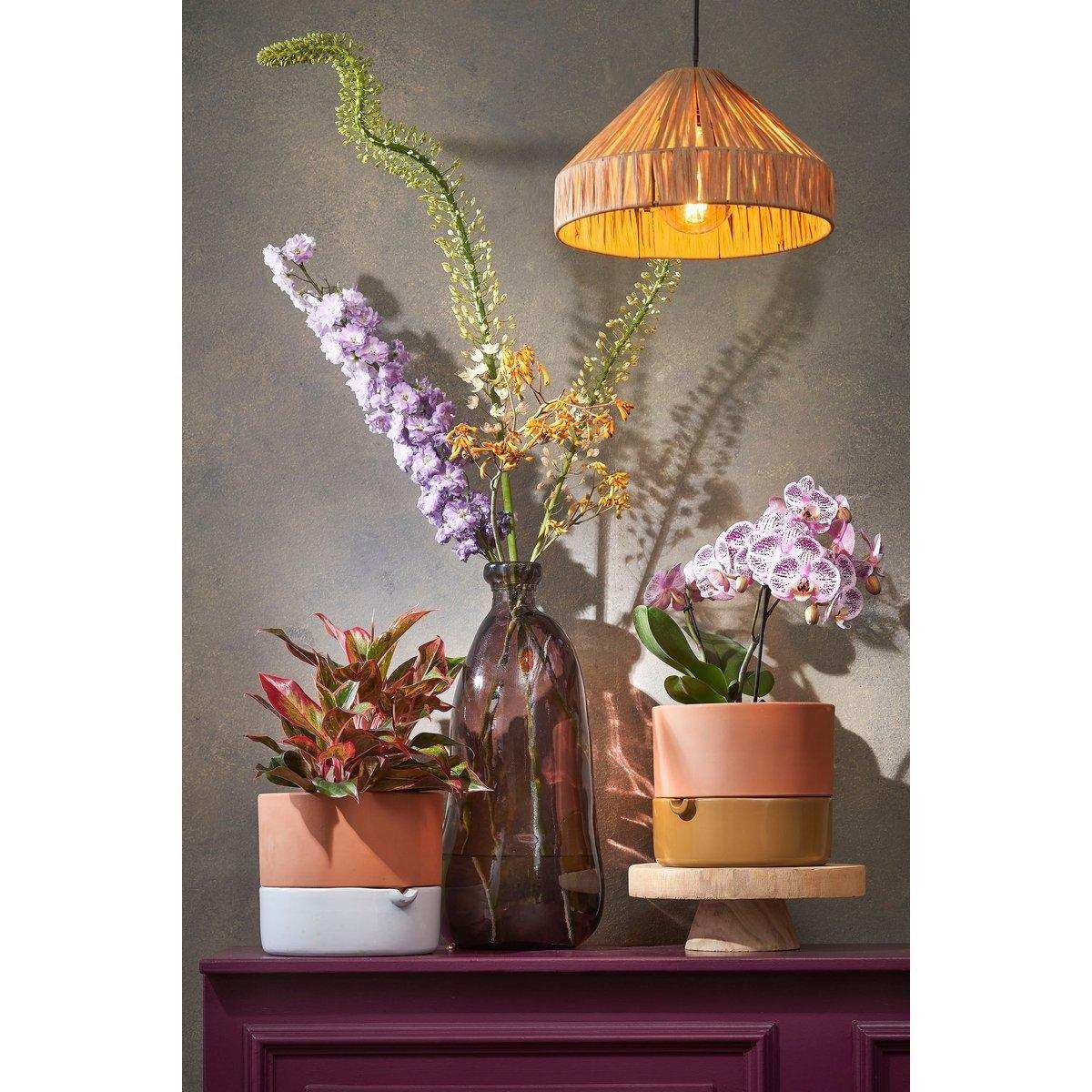 Elisa Hängelampe – H18 x Ø30 cm – Bast – Hellbraun - HomeDesign Knaus