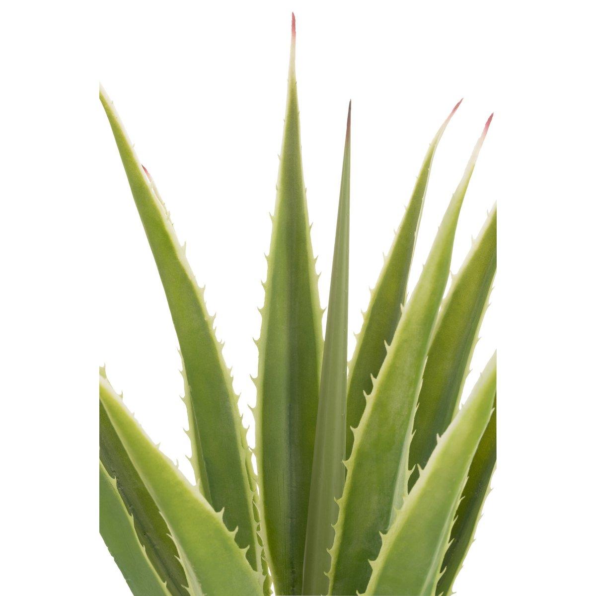 J-Line Agave Off White Künstliches Grün