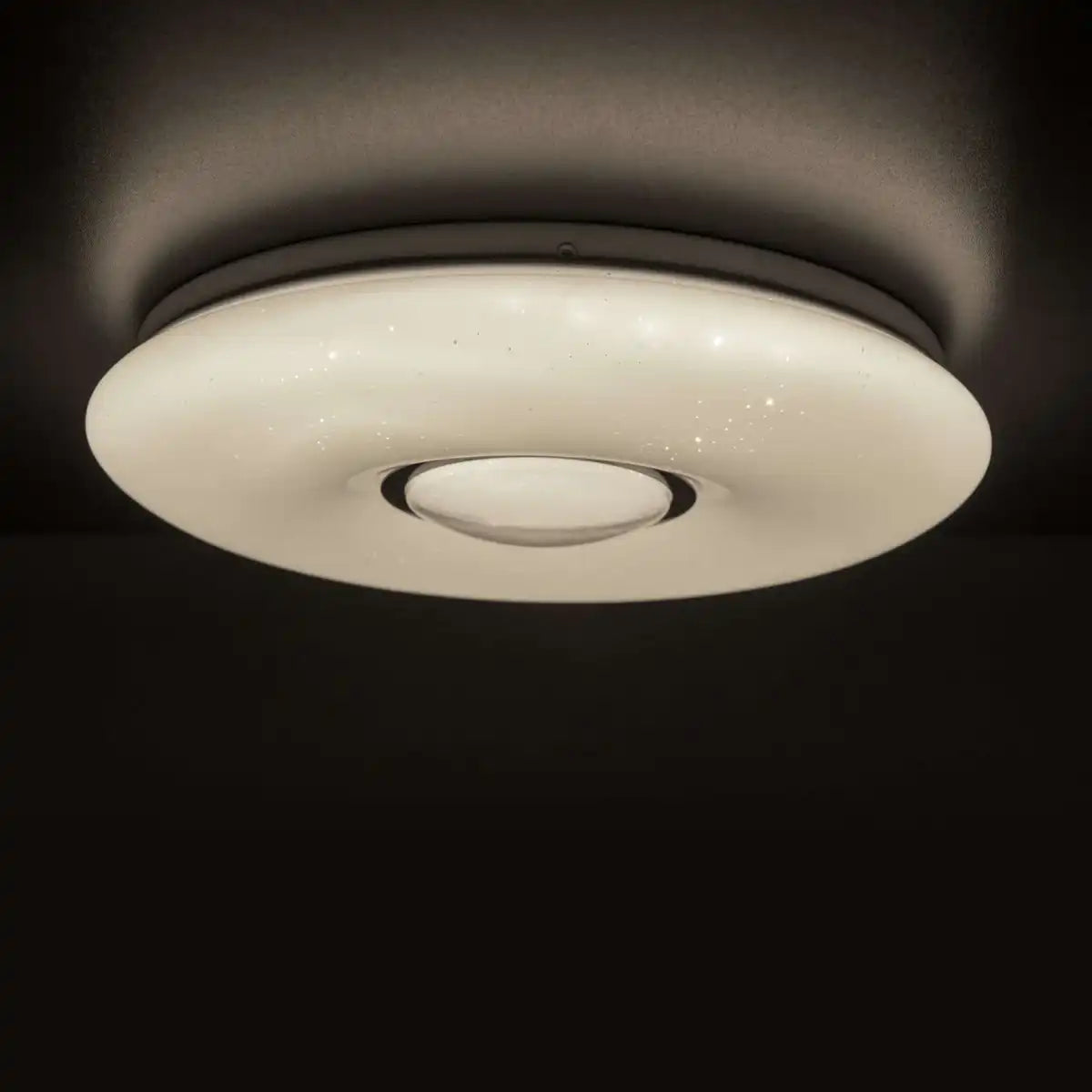 LED Deckenleuchte D. ca 50cm "Picton"