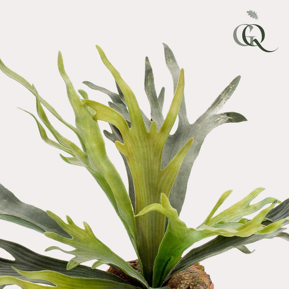 Kunstpflanze - Staghorn Fern - Hertshoorn - 50 cm