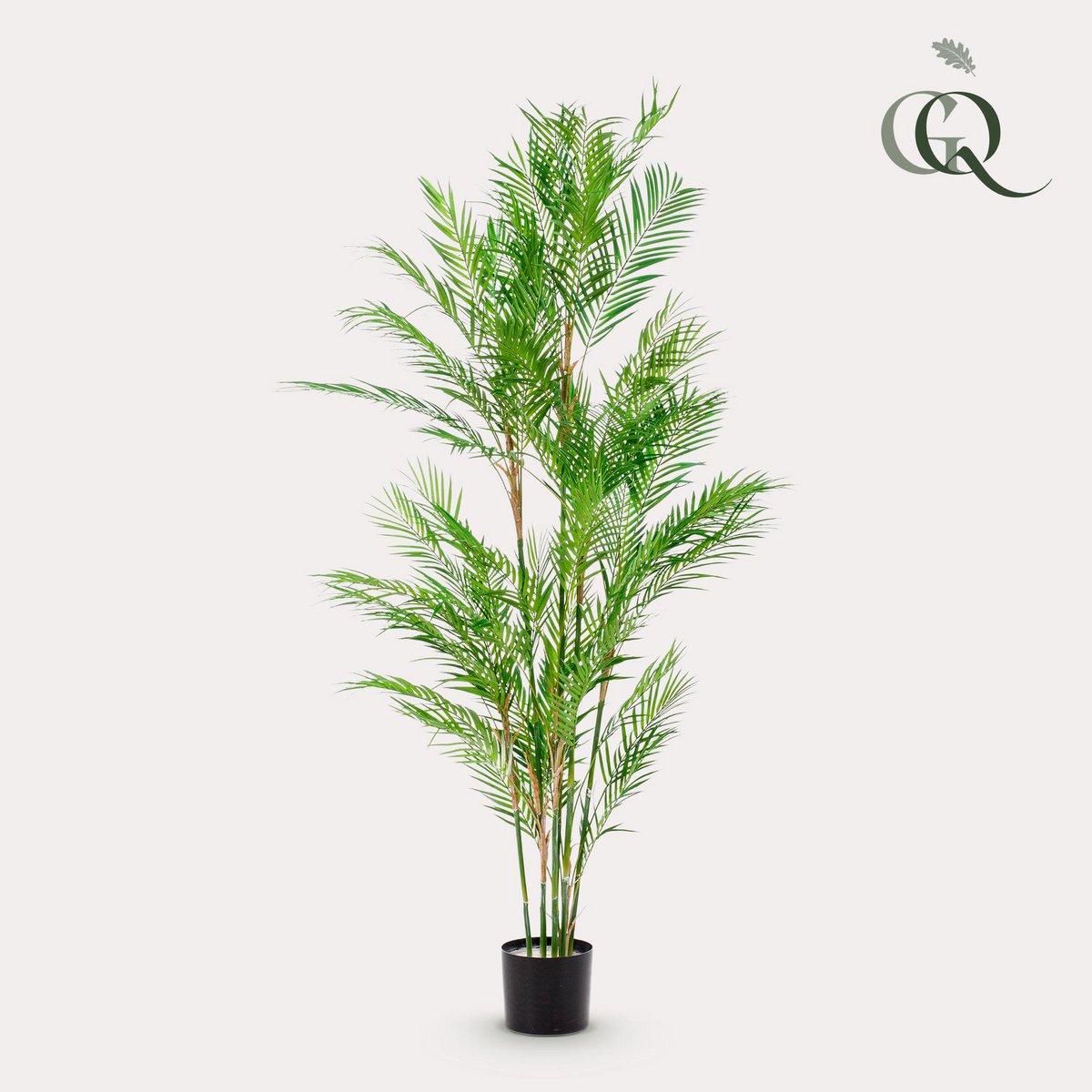 Künstliche Pflanze - Chamaedorea Elegans - Bergpalme - 180 cm