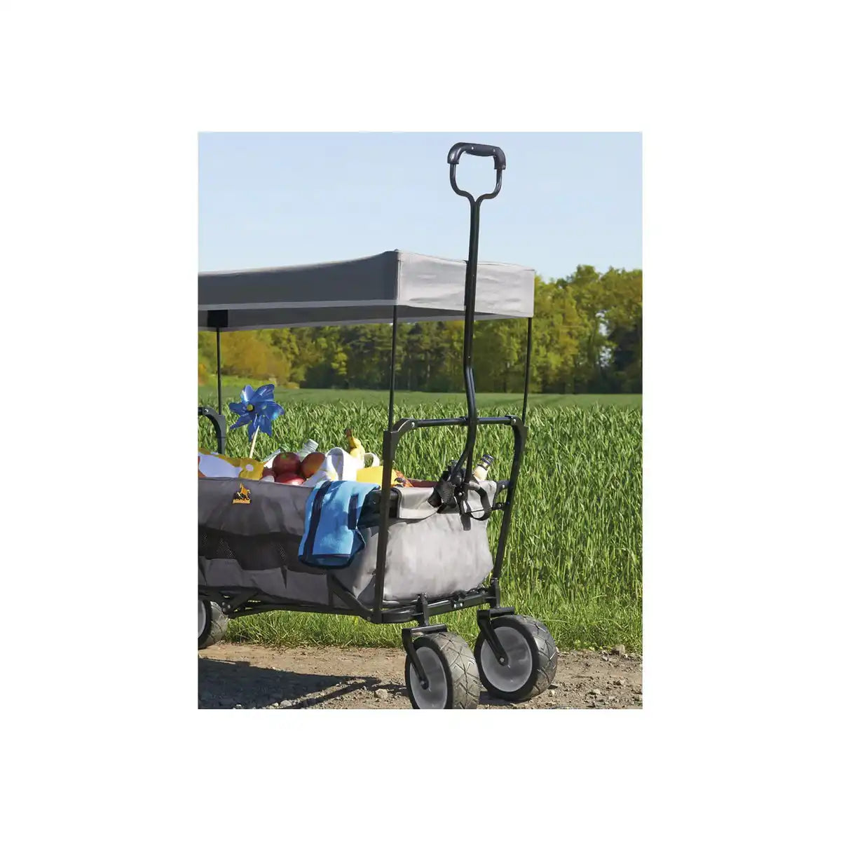Faltbarer Bollerwagen 'Paxi', grau - HomeDesign Knaus